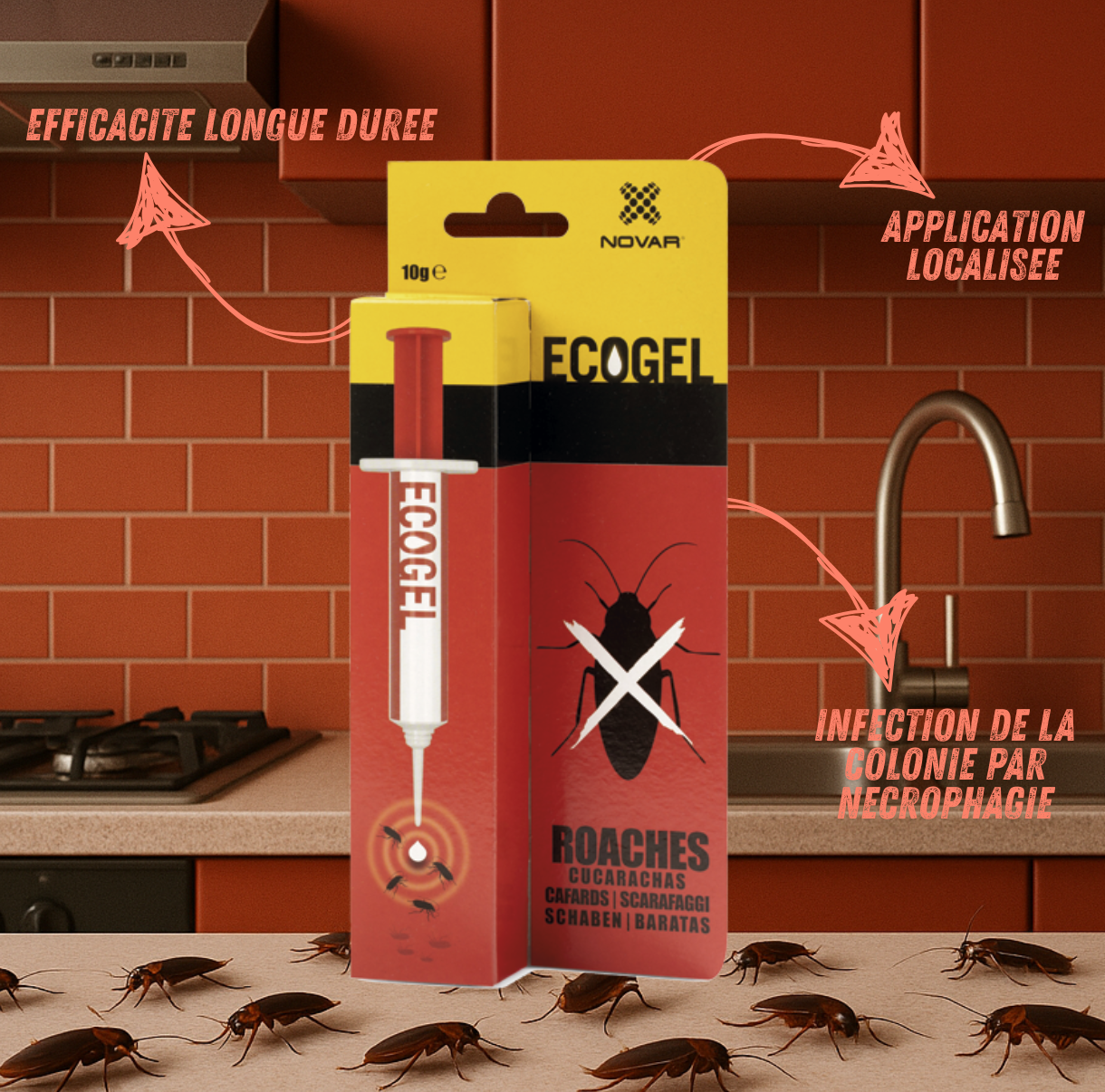 Ecogel Cafards Seringue 10g