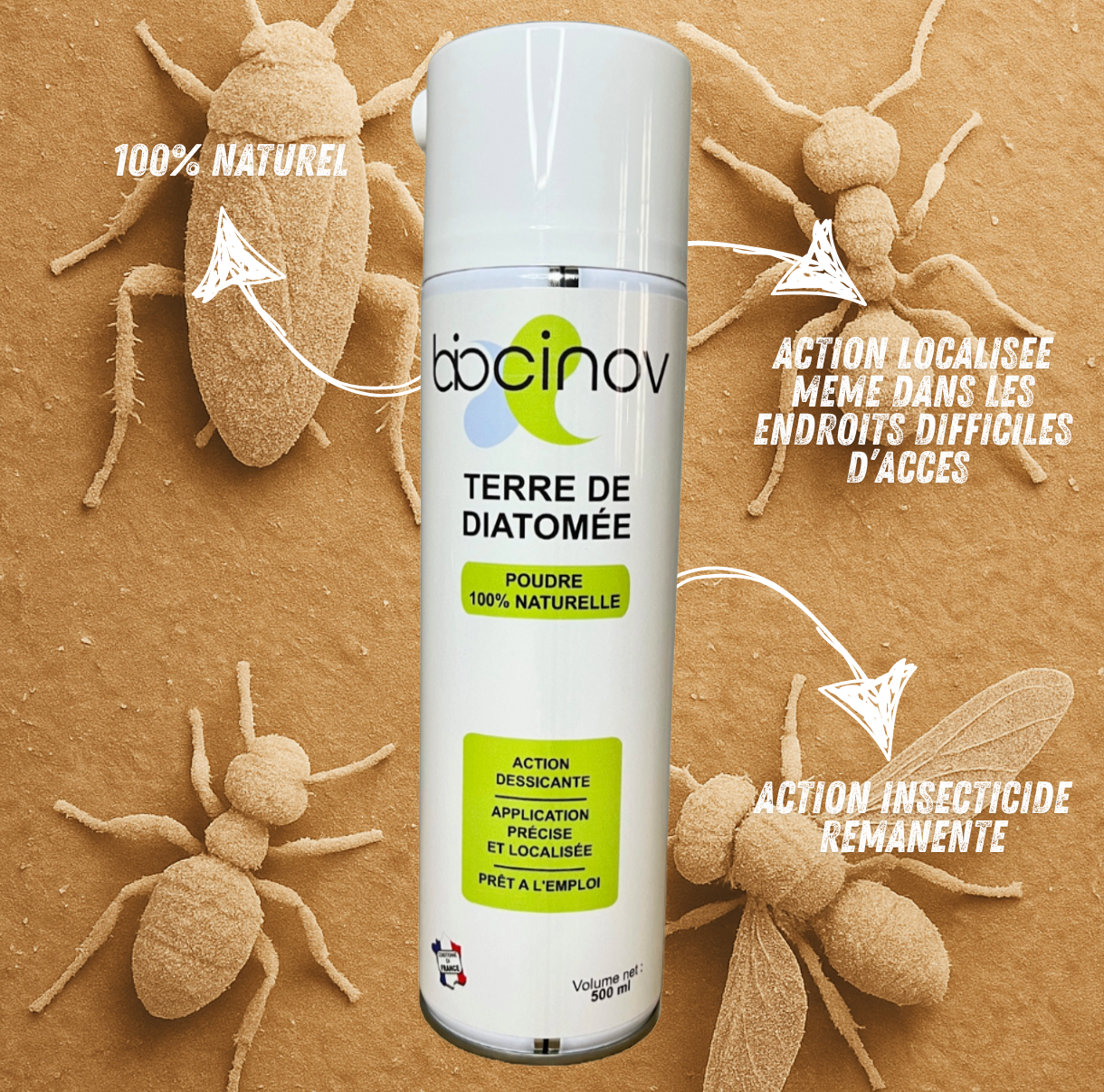 Aérosol Terre de Diatomée