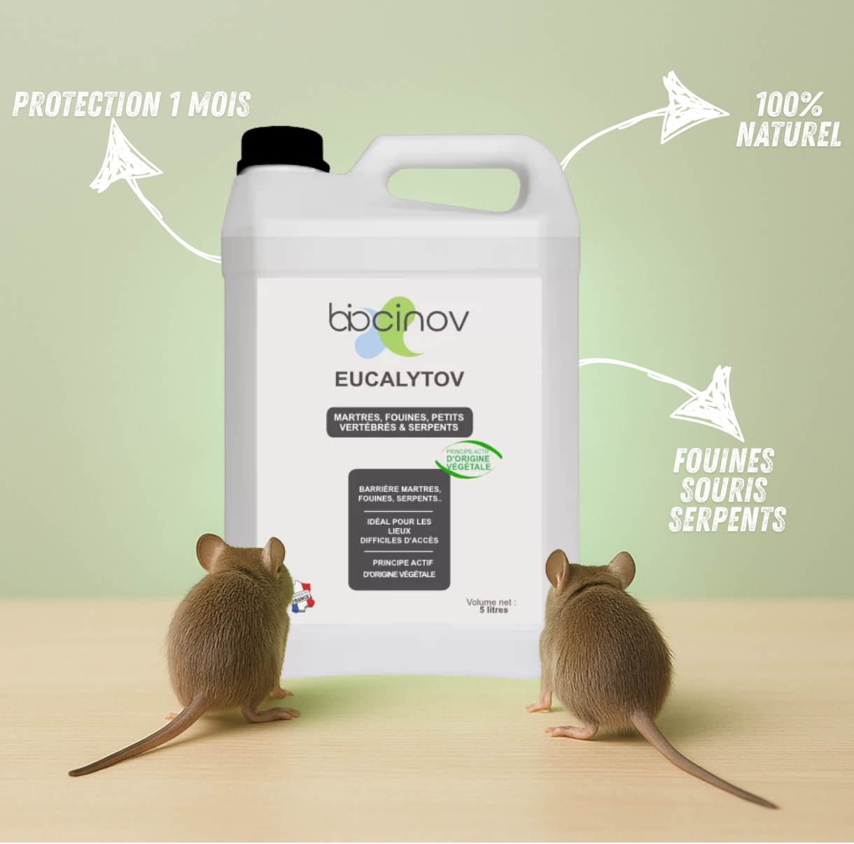 EUCALYTOV Liquide – Répulsif Naturel Contre Martres, Fouines, Serpents et Petits Vertébrés