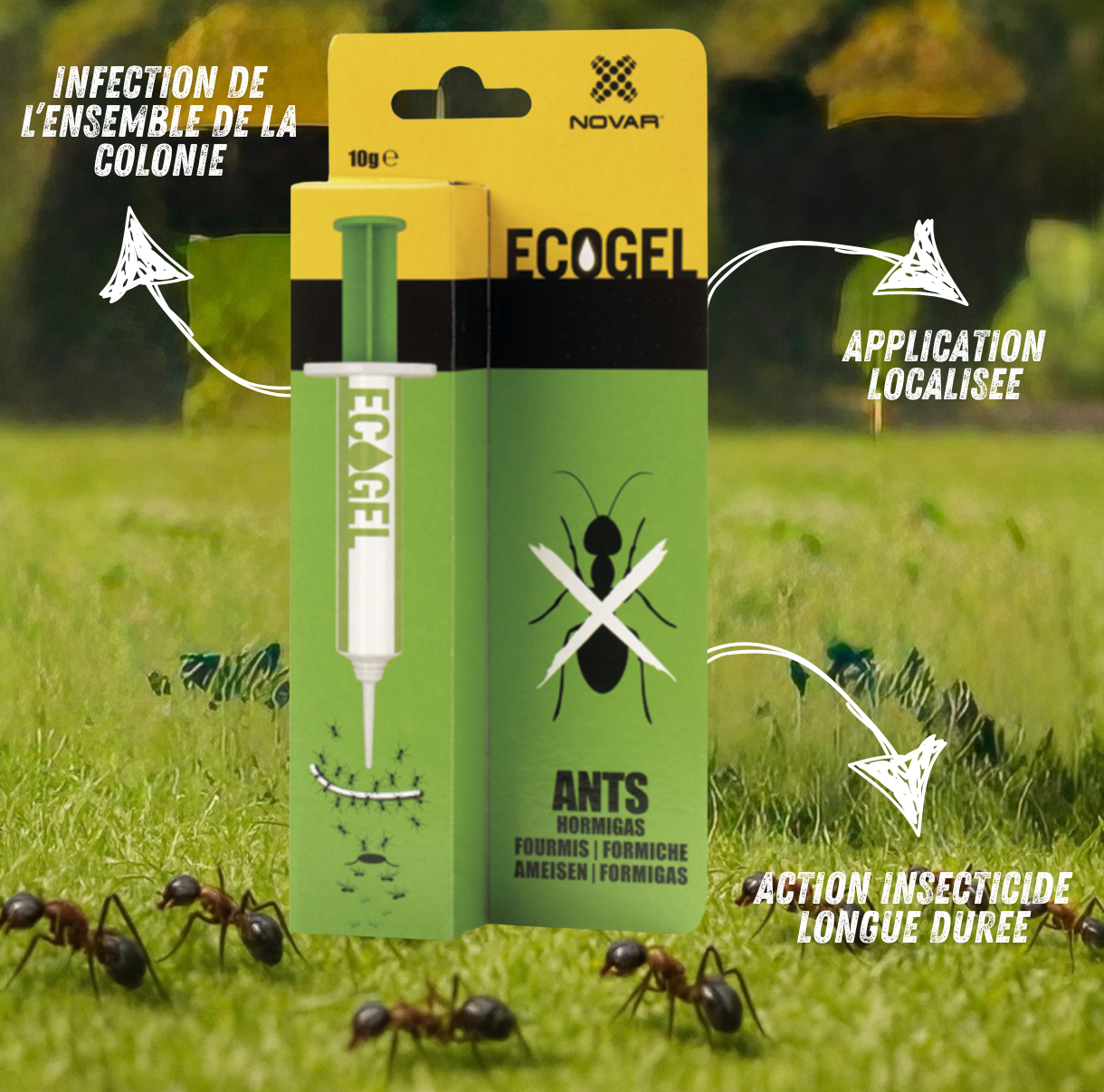 Ecogel Fourmis – Solution Radicale et Précise
