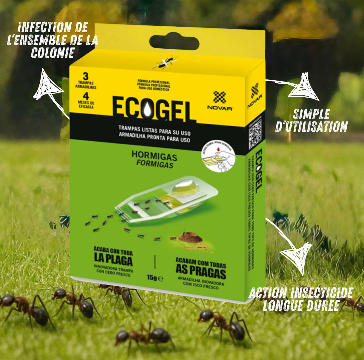 Ecogel Piège Fourmis