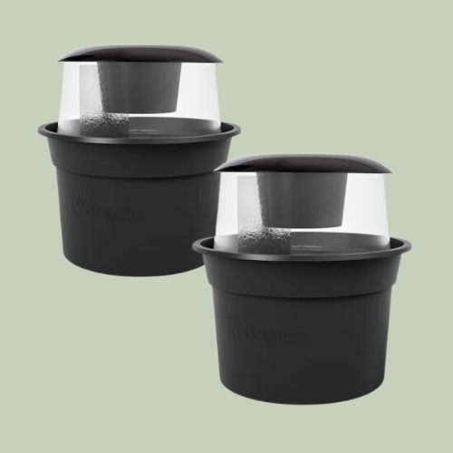 Lot de 2 pièges à moustiques avec plaques de glue – BG GAT